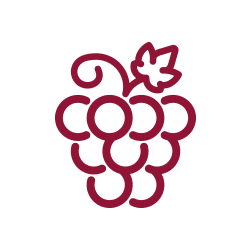 grbinich_wines_grape_ico